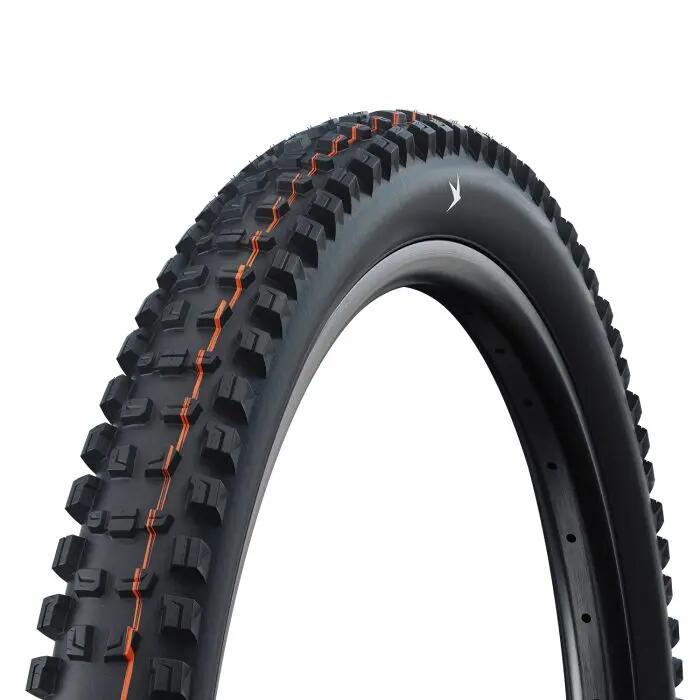 SCHWALBE picture