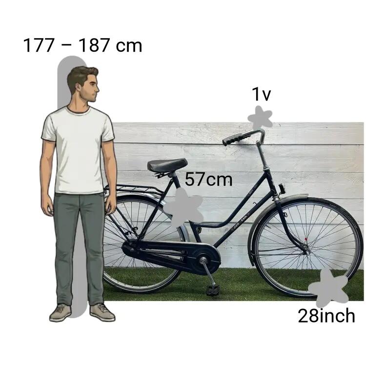 Vélo d’occasion Germaan 2/4