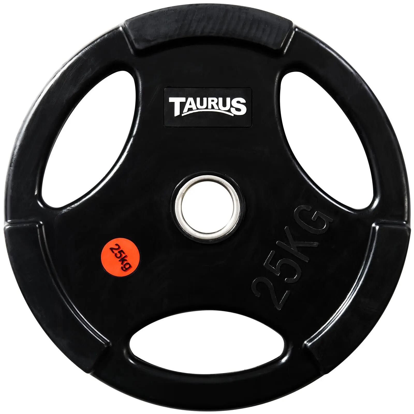 TAURUS picture