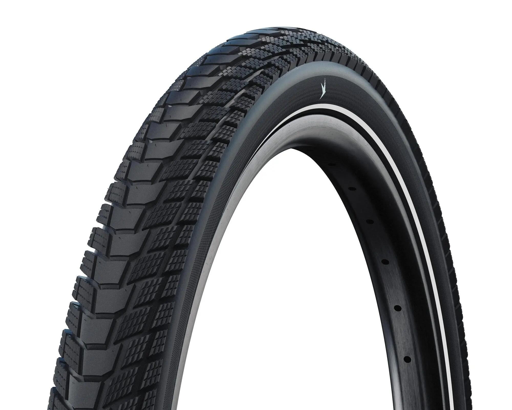 SCHWALBE picture