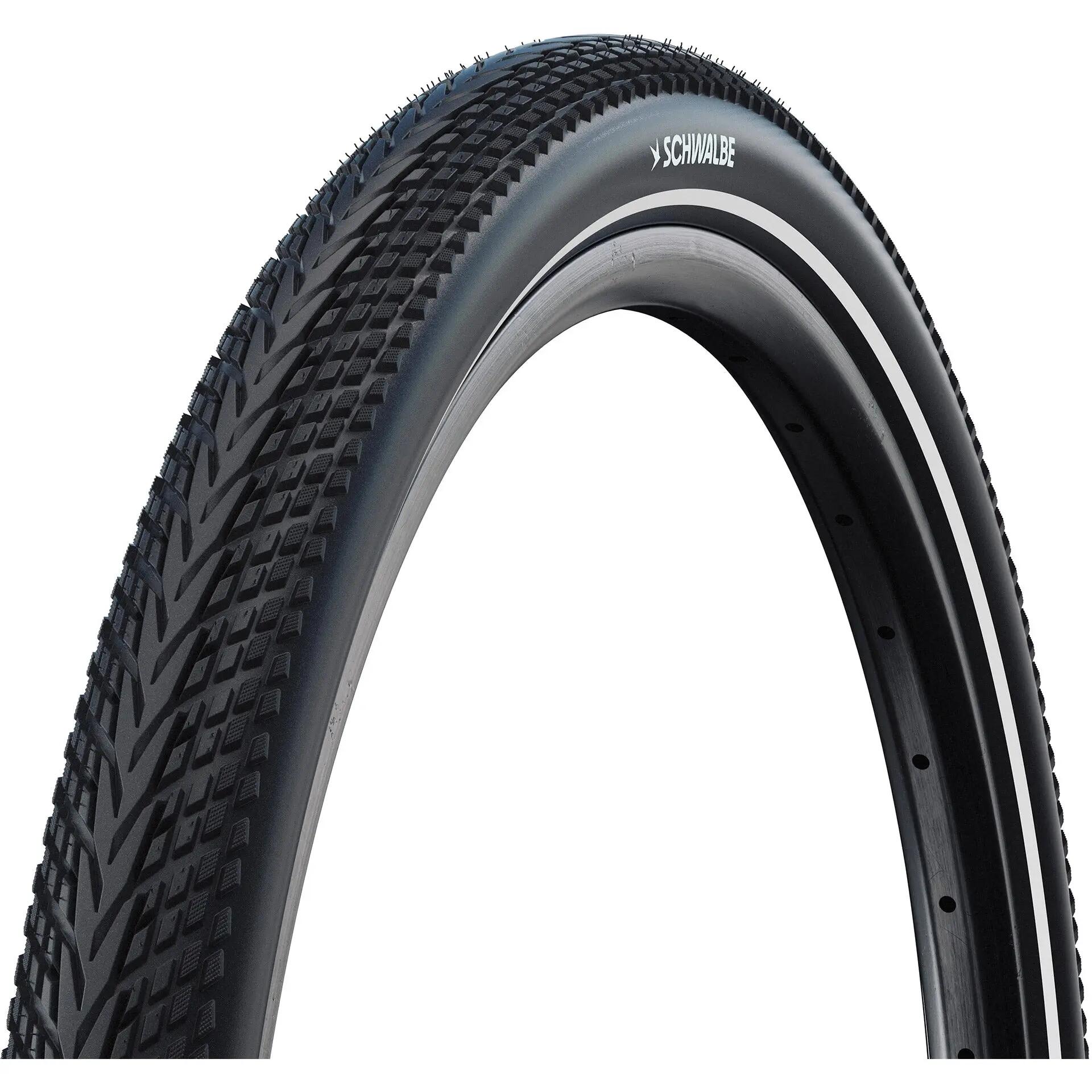SCHWALBE picture