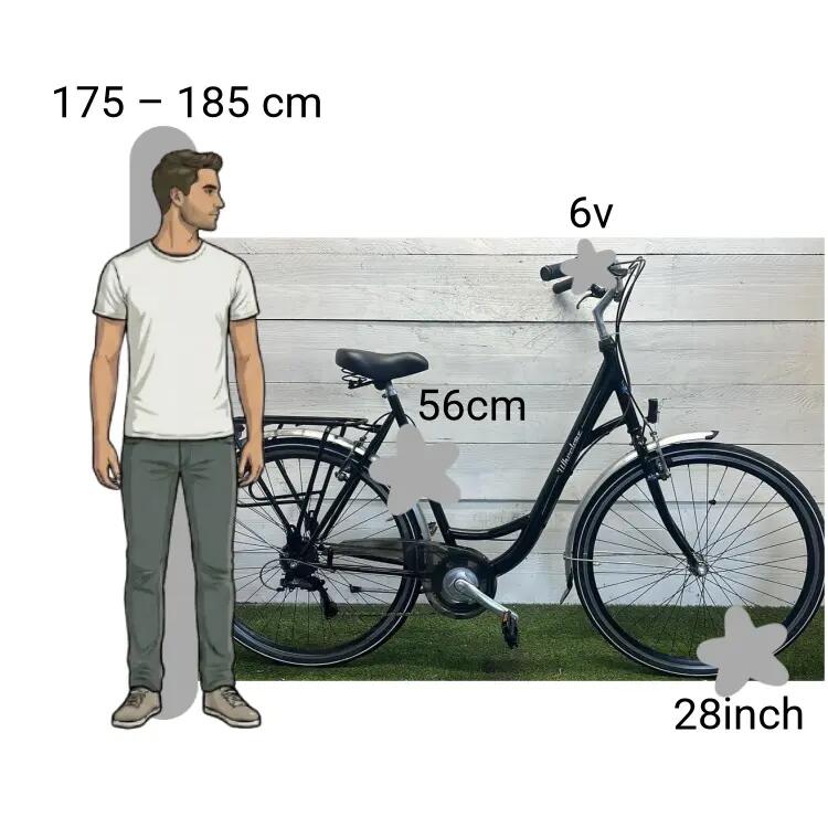 Bicicletta usata Wheelerz 2/4