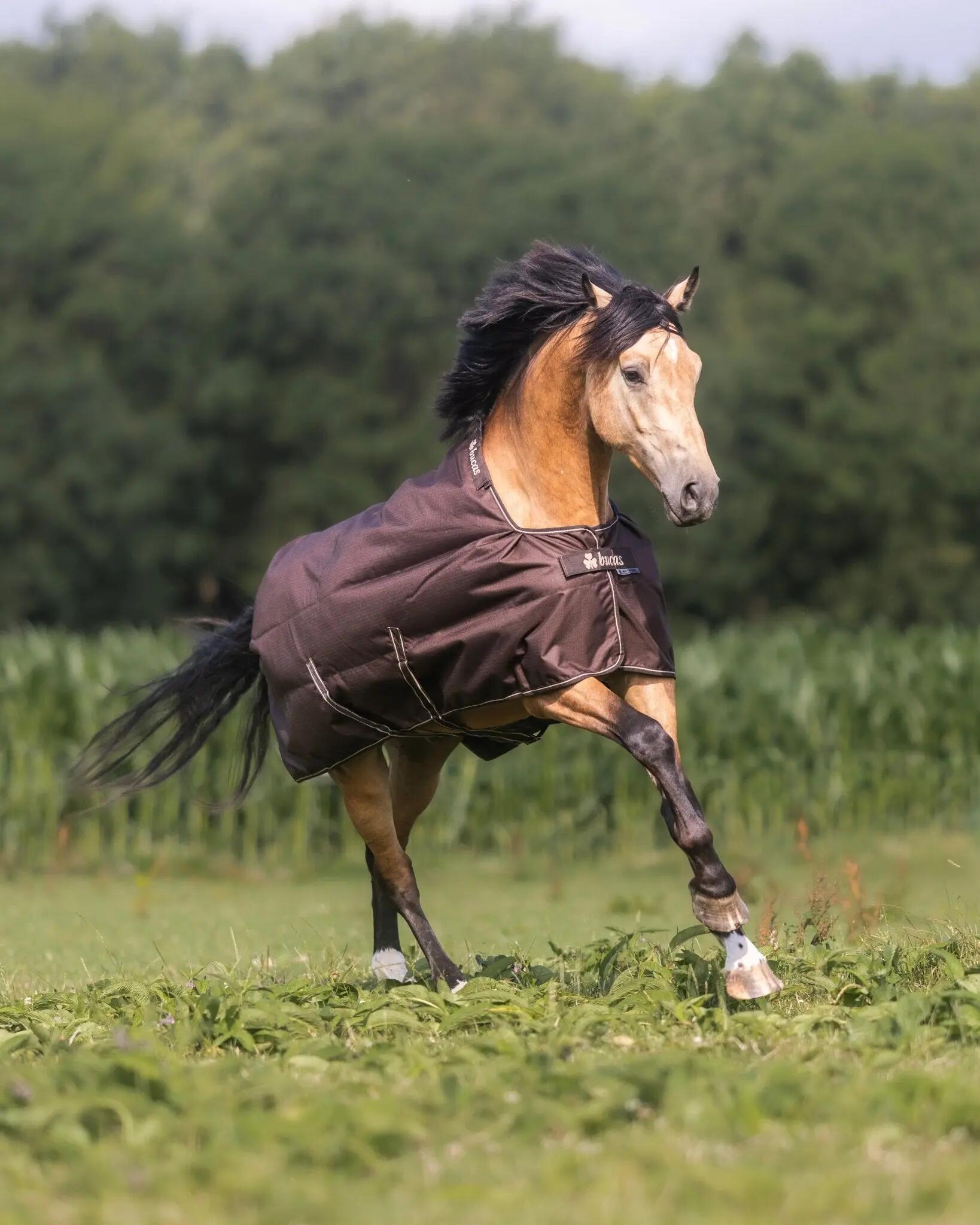 Manta impermeável para cavalos Bucas Irish Turnout 50g 3/5
