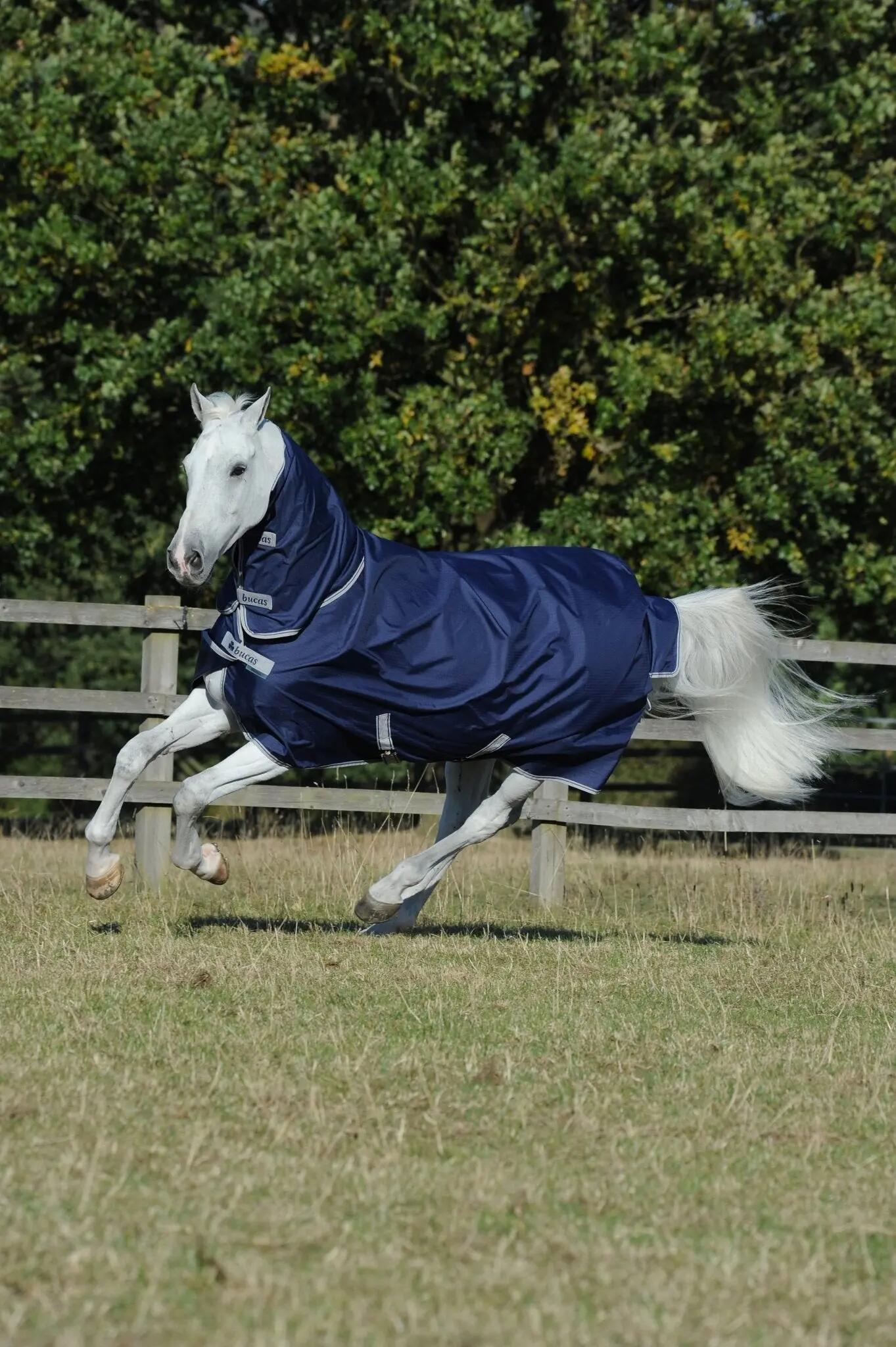 Tapete impermeável para cavalos com cobertura para o pescoço Bucas Freedom 100g 2/2