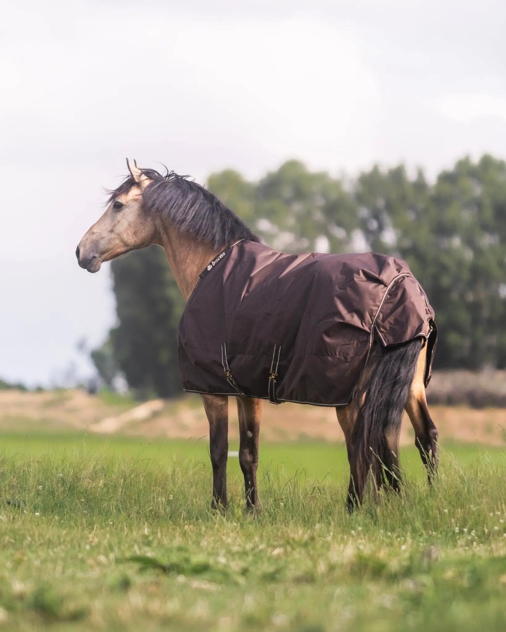 Manta impermeável para cavalos Bucas Irish Turnout 50g 4/5