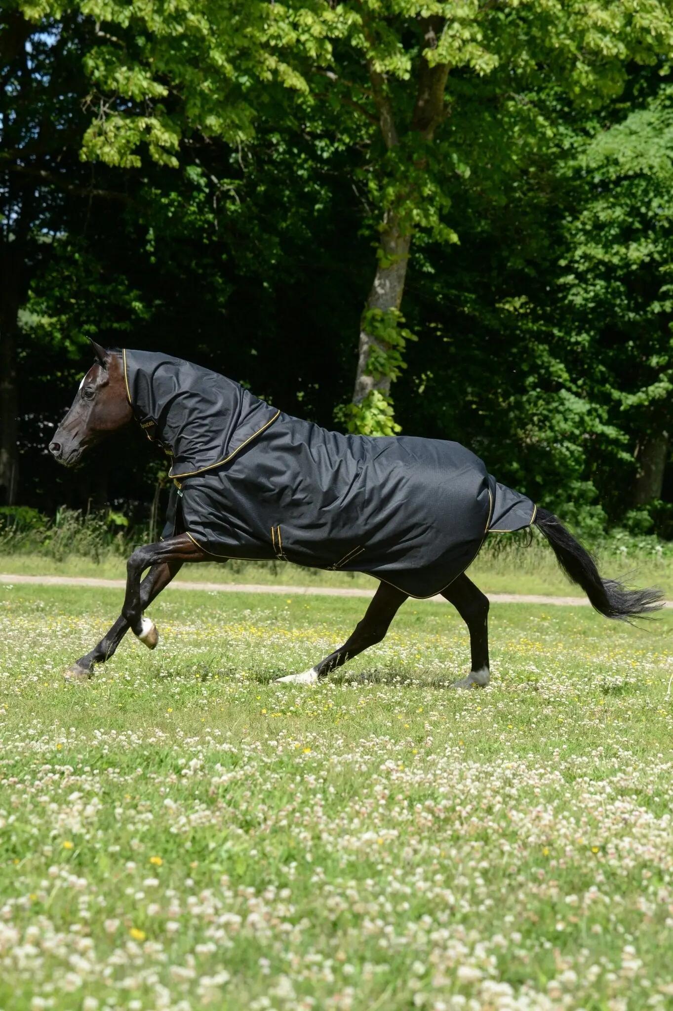 Manta impermeável para cavalos Bucas Irish Turnout 50g 2/5