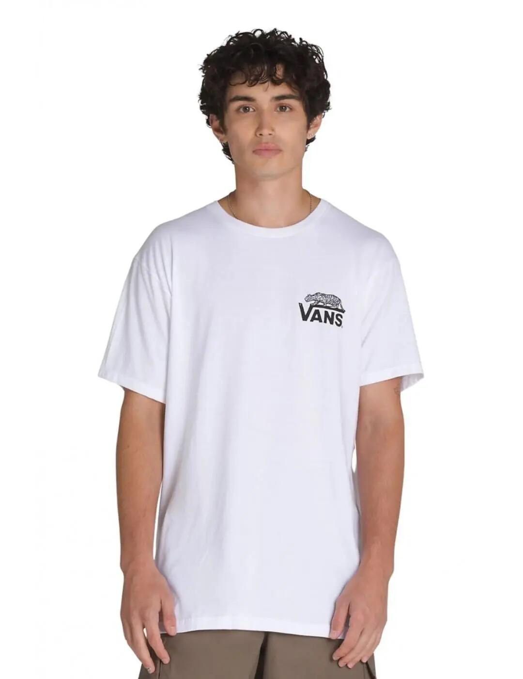 VANS picture