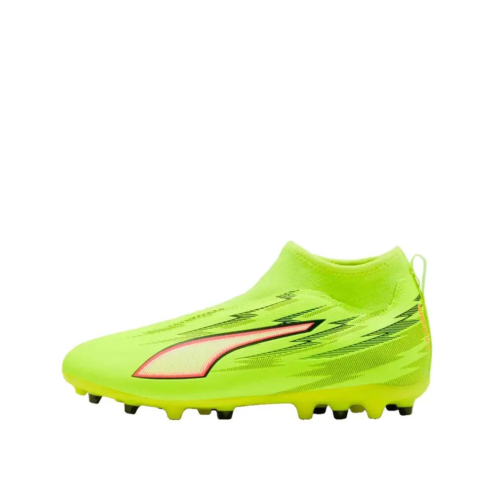 PUMA picture