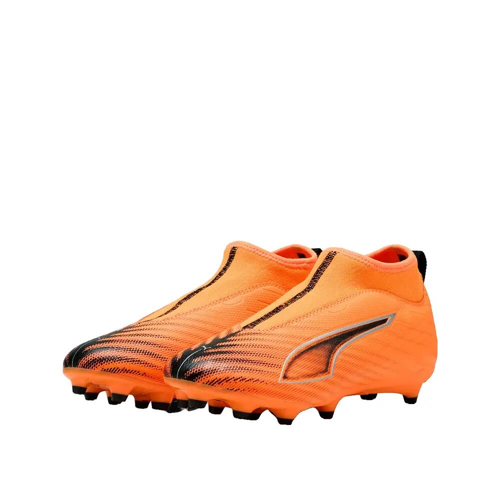 PUMA picture