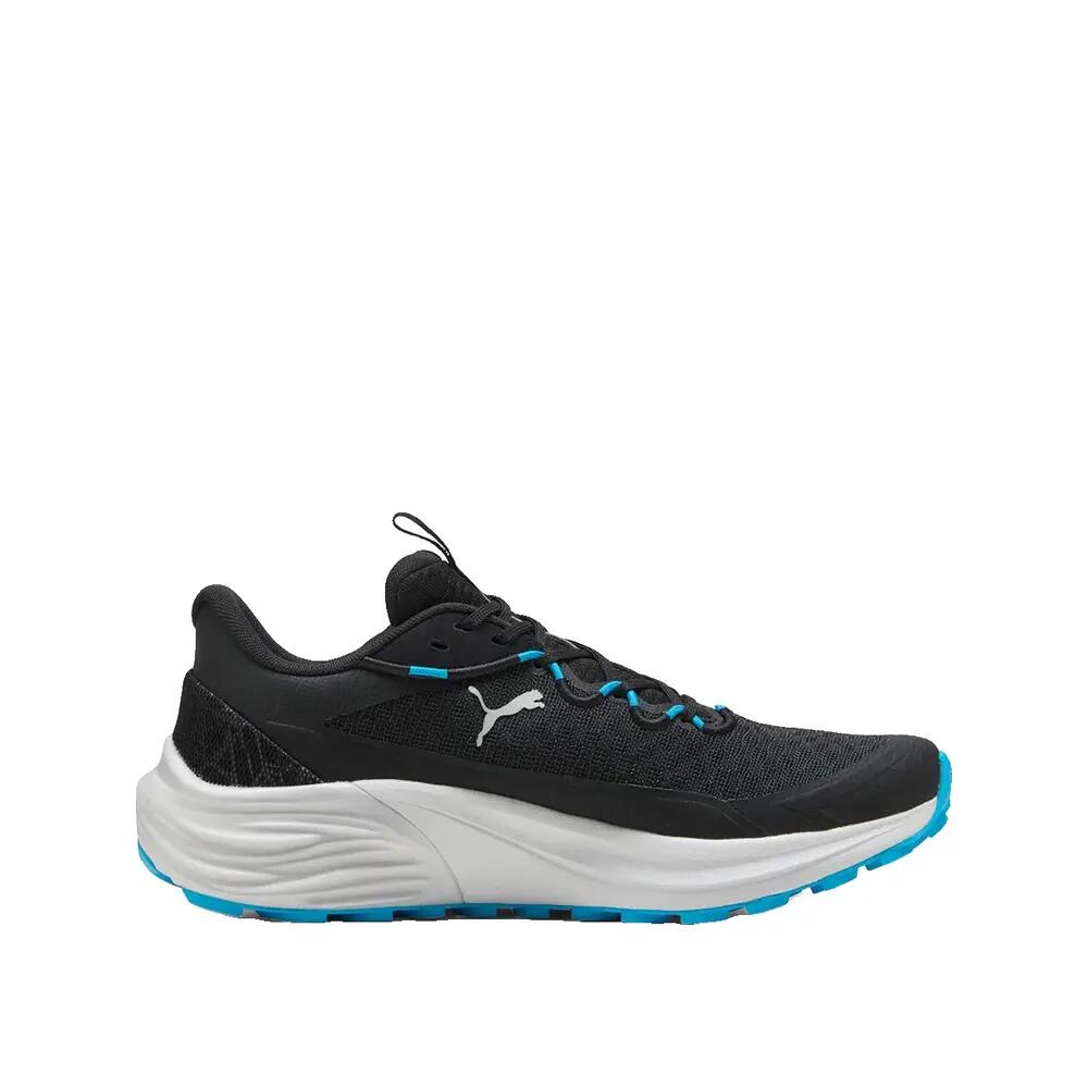 PUMA picture