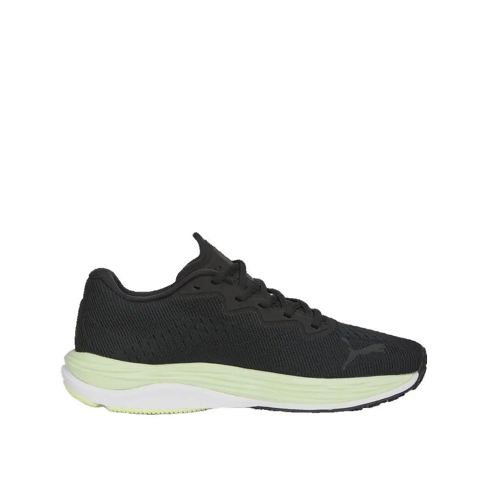 PUMA picture