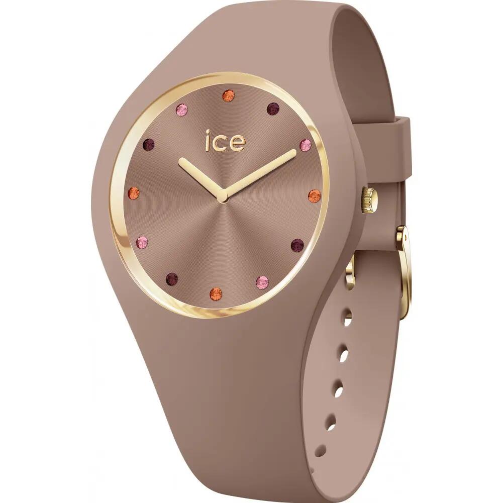 ICE WATCH picture