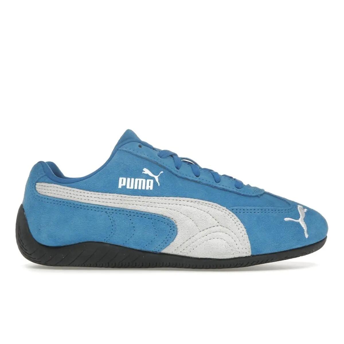 PUMA picture