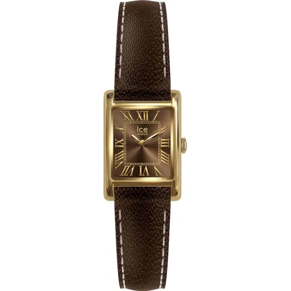 ICE WATCH picture