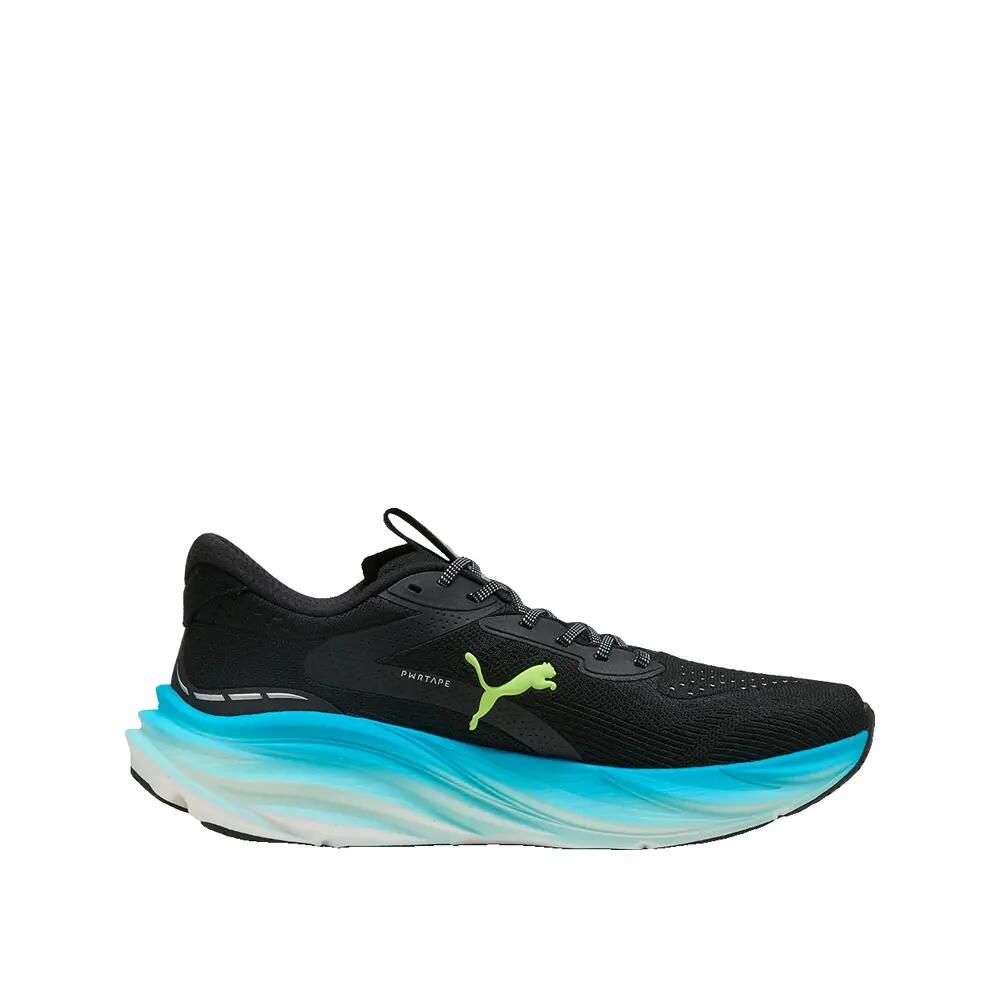 PUMA picture