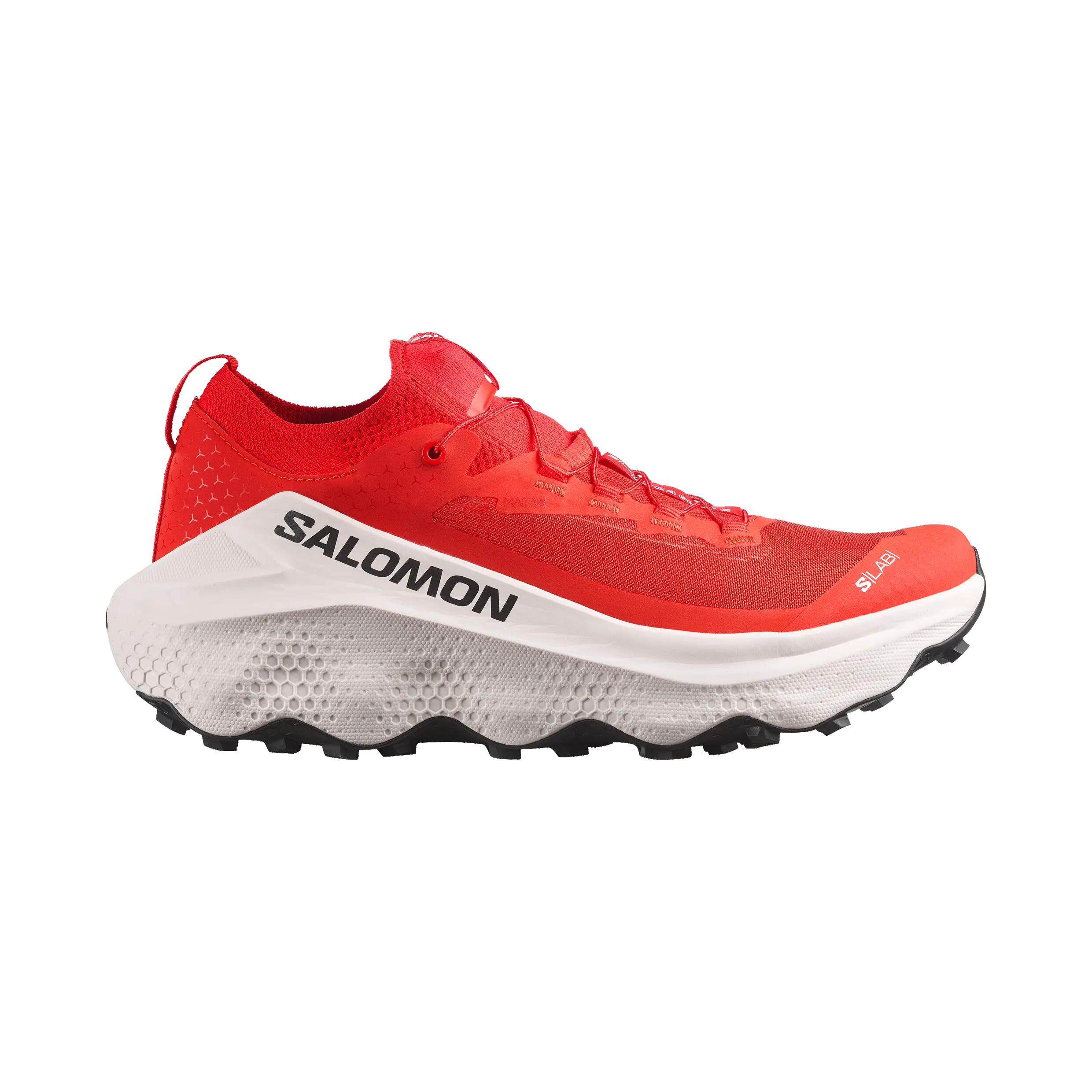 SALOMON picture