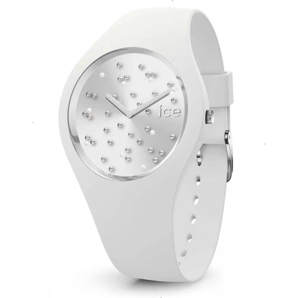 ICE WATCH picture