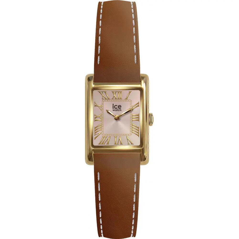 ICE WATCH picture