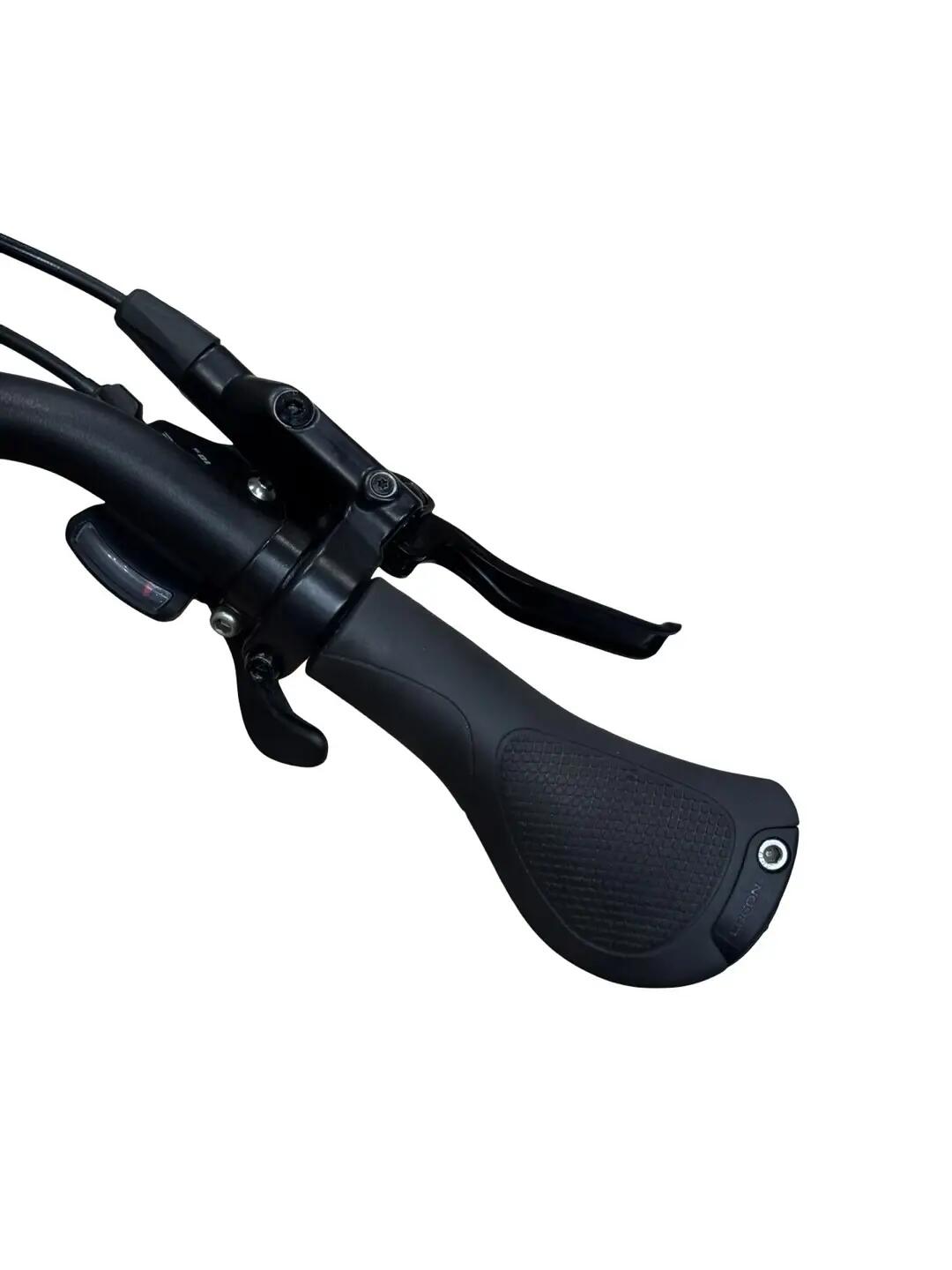 Segunda Vida - bicicleta eléctrica Gazelle Chamonix T10 HMS Shimano - Como nuevo 9/15