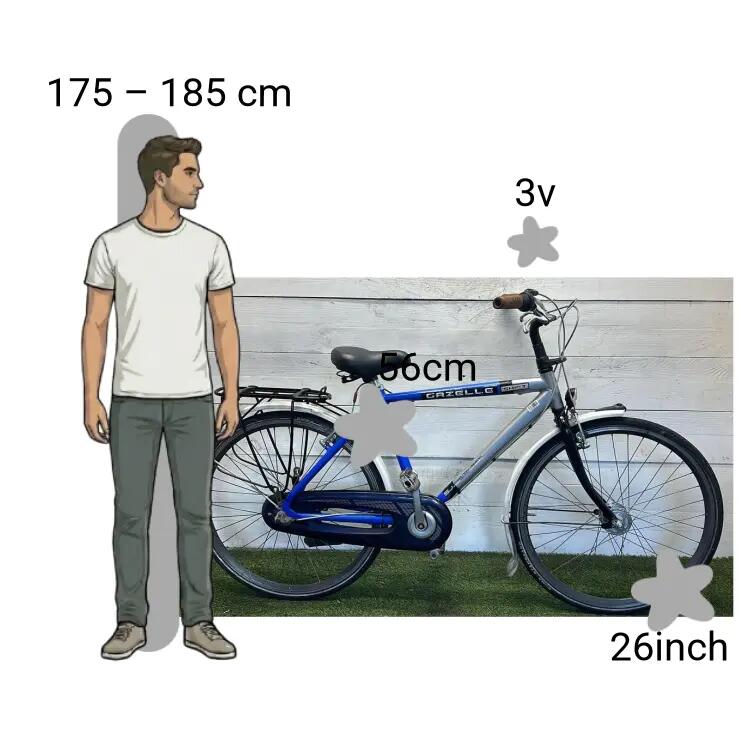 Gebraucht Gazelle Shift 2/4