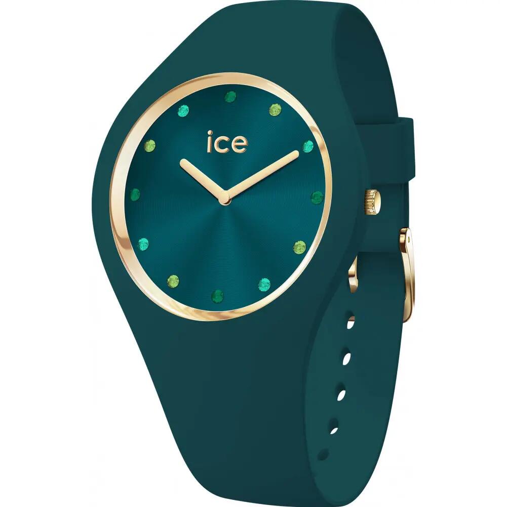 ICE WATCH picture