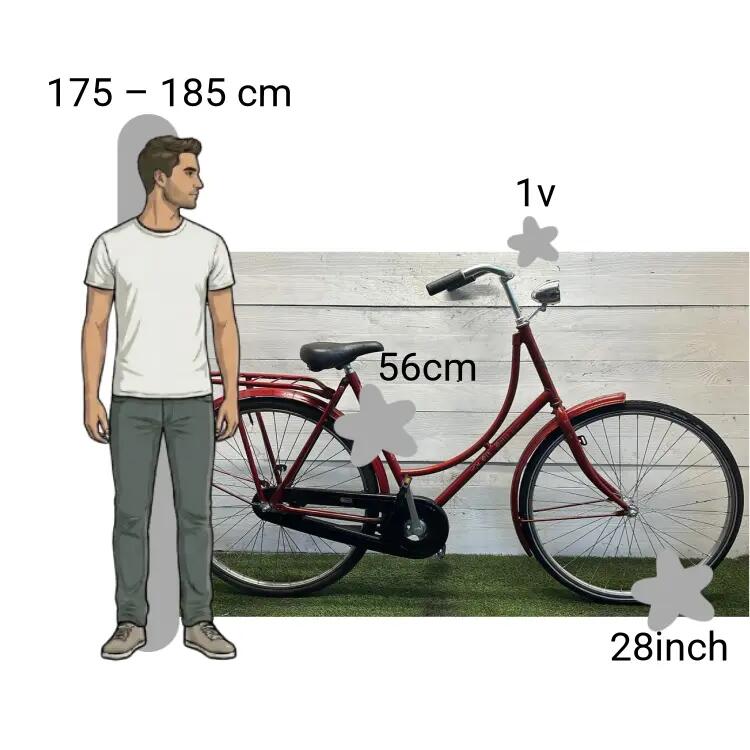 Vélo d’occasion Batavus Old Dutch 2/4