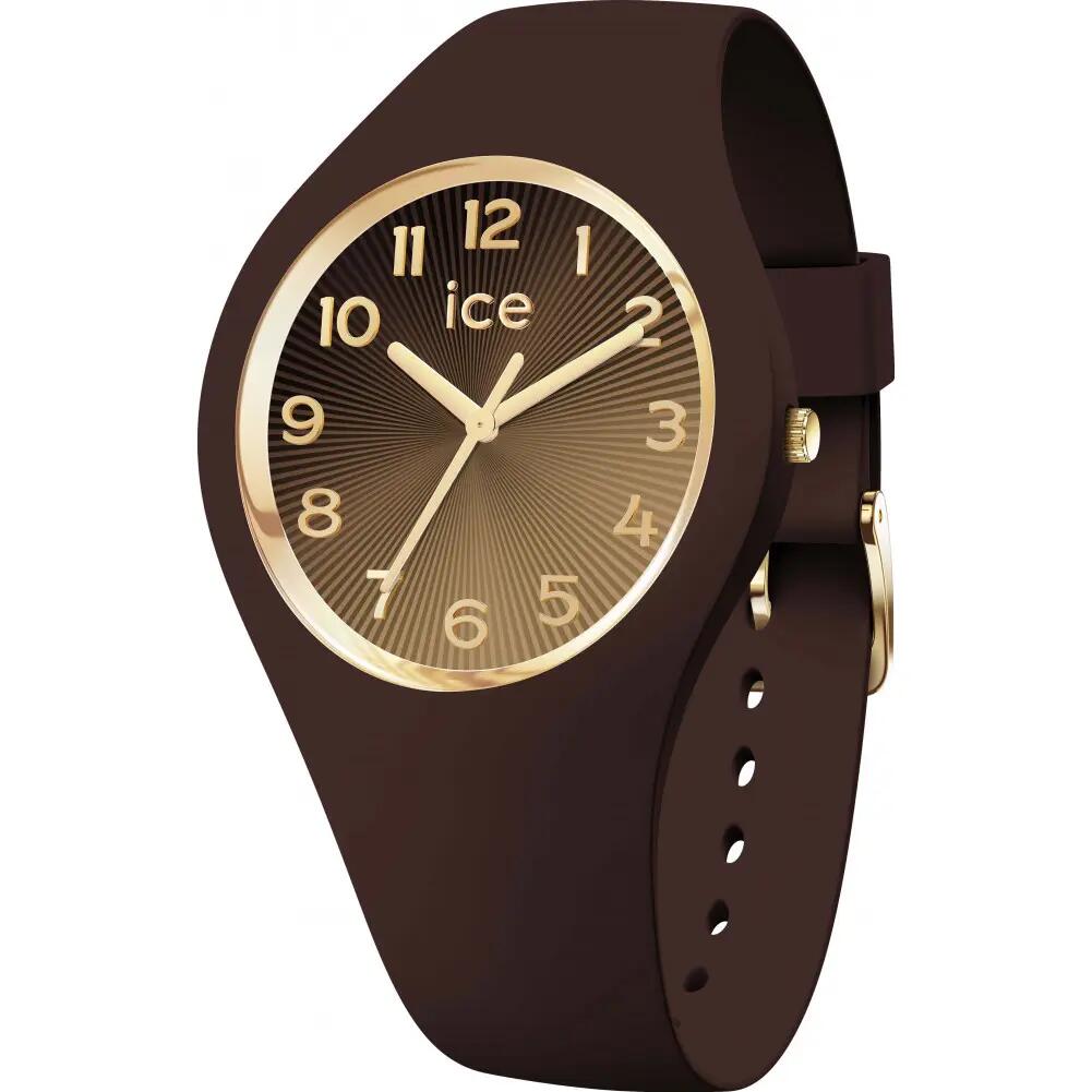 ICE WATCH picture