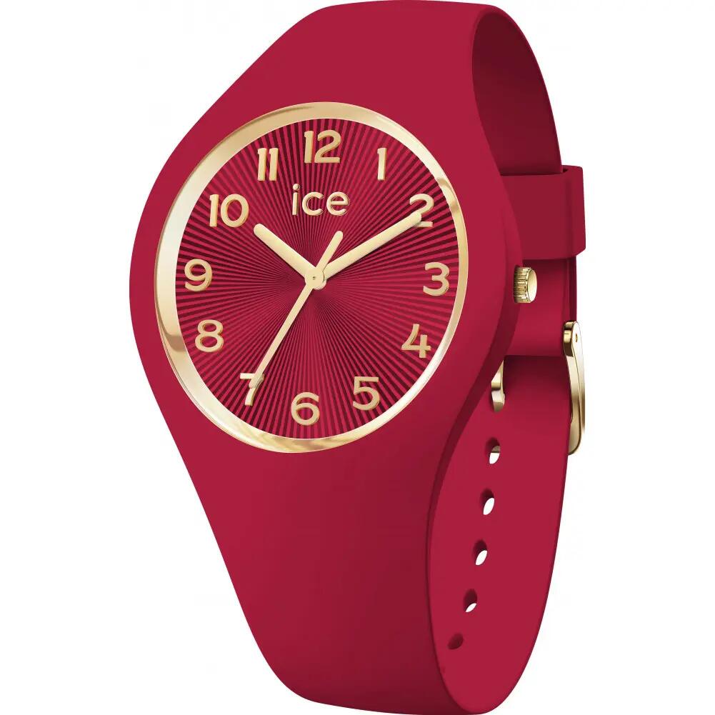 ICE WATCH picture