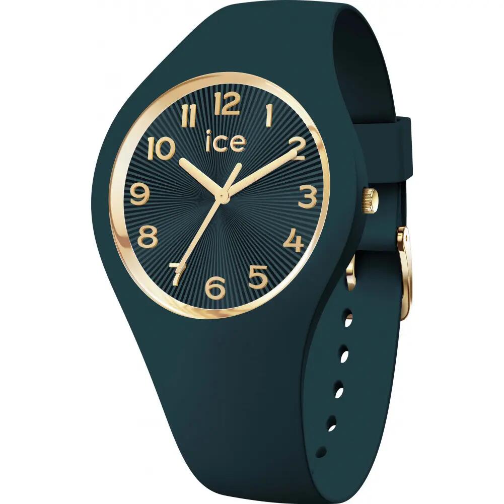 ICE WATCH picture