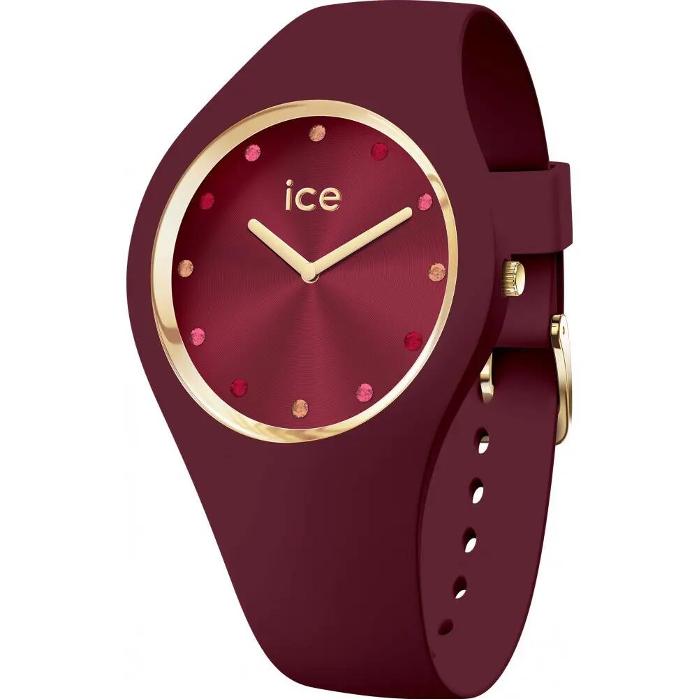 ICE WATCH picture