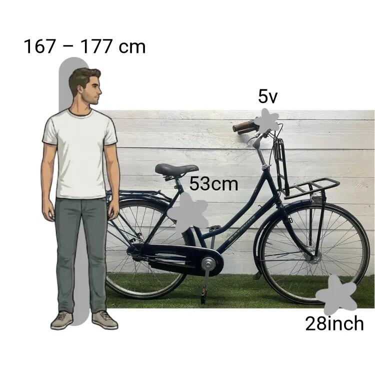 Vélo d’occasion Batavus Verona 2/4