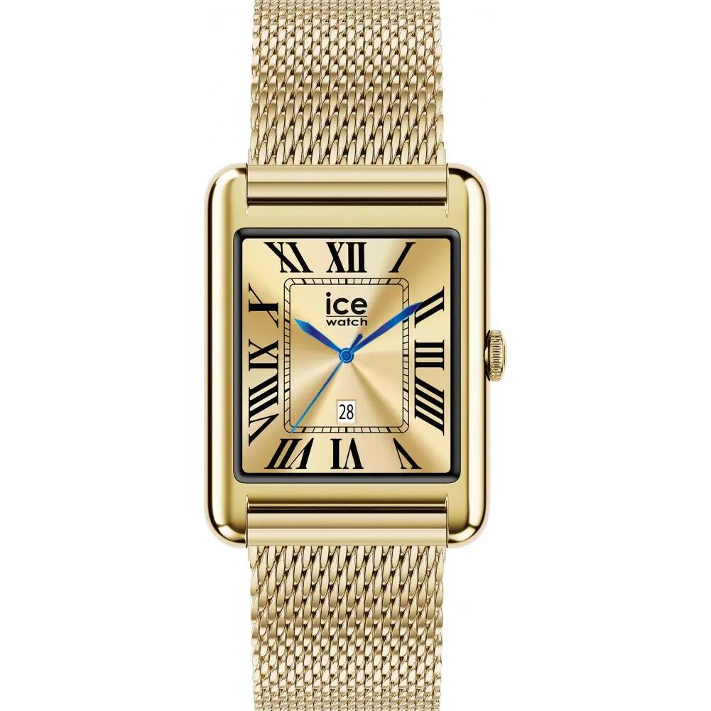 ICE WATCH picture