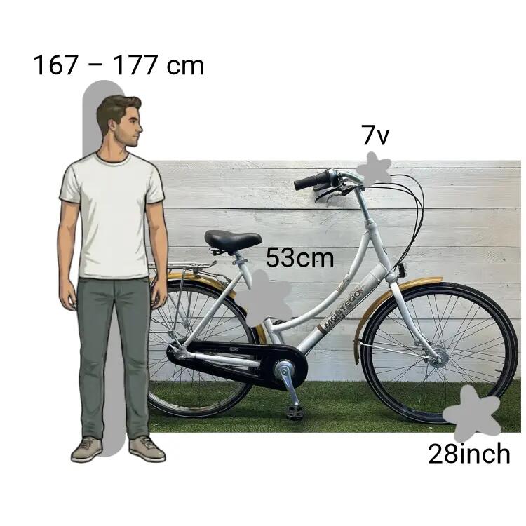 Gebraucht Montego 2/4