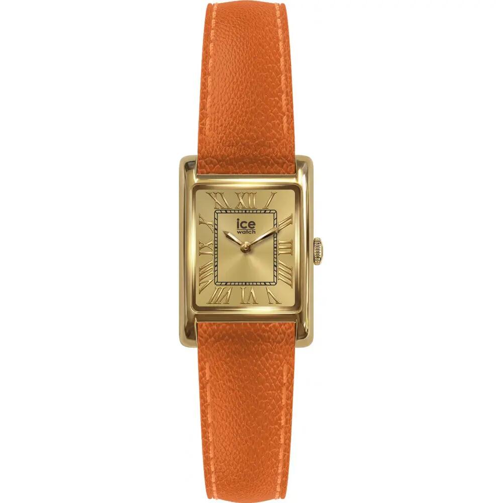 ICE WATCH picture
