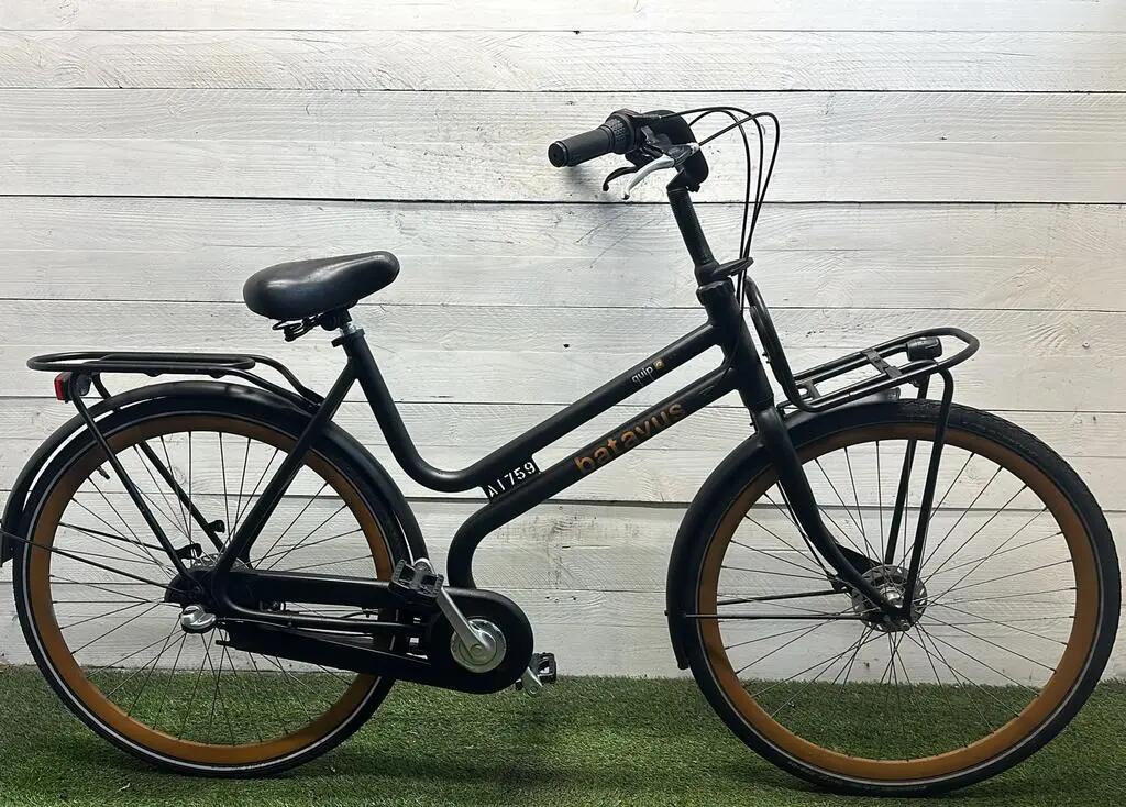 BATAVUS picture