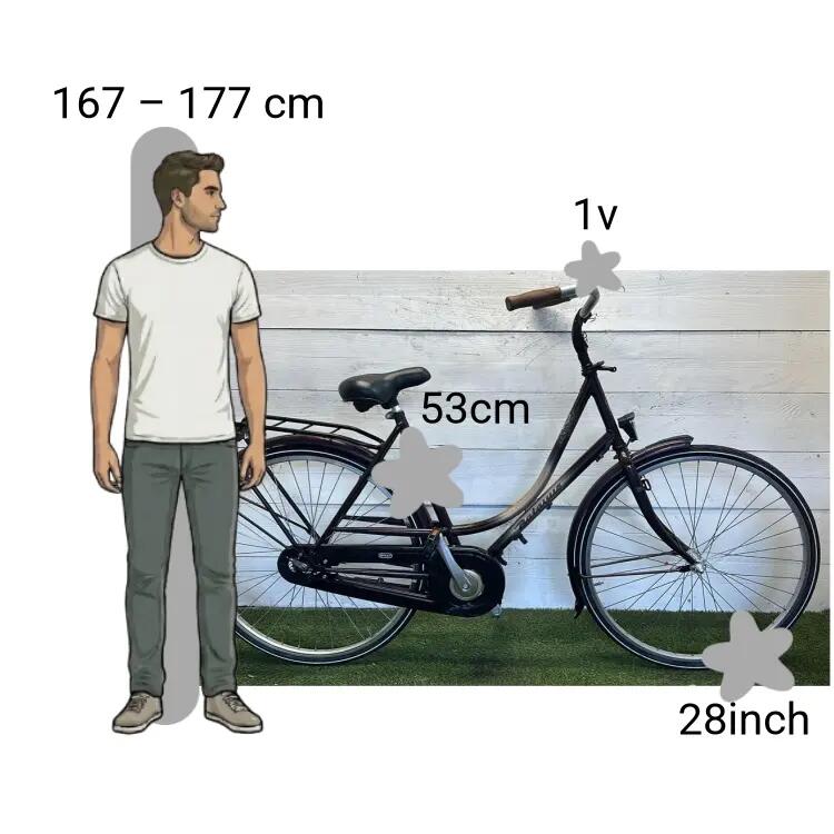 Vélo d’occasion Batavus 2/4