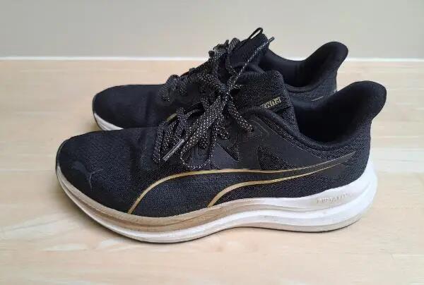 PUMA picture