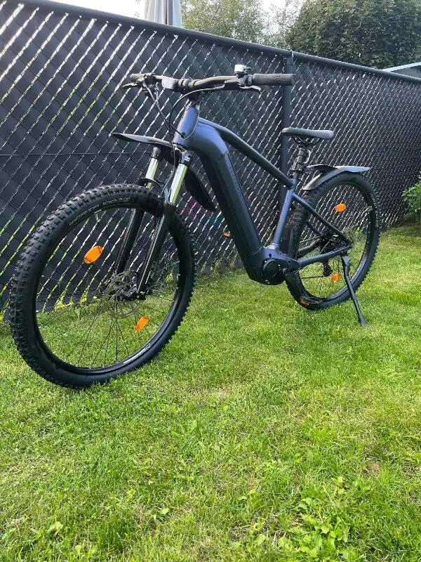 ROCKRIDER picture