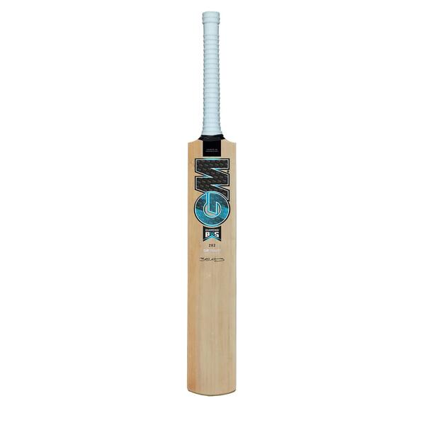 Kashmir willow cricket bat