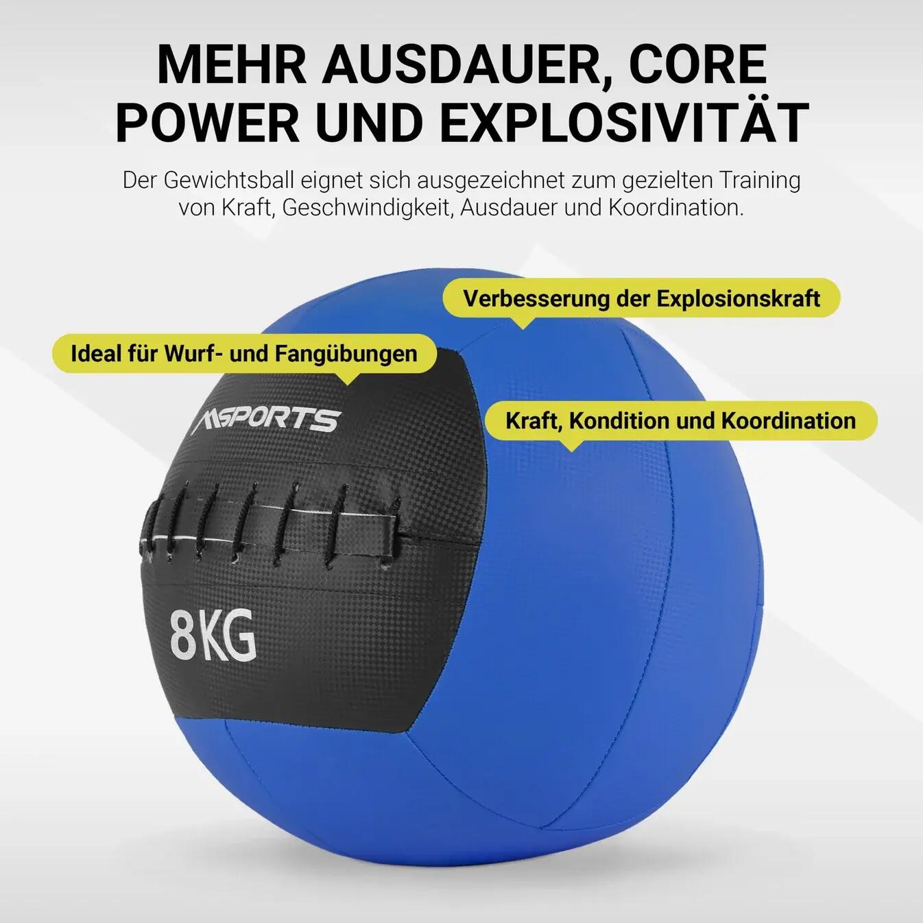 Wall Ball haut de gamme 4/7