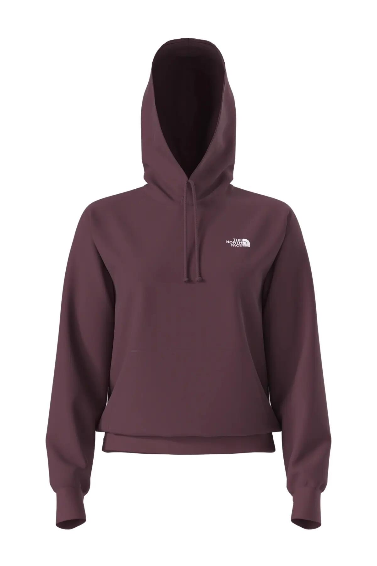 Sweat-shirt The North Face Modèle W Evo Sd Reg Hoodie Couleur Bordeaux 5/5