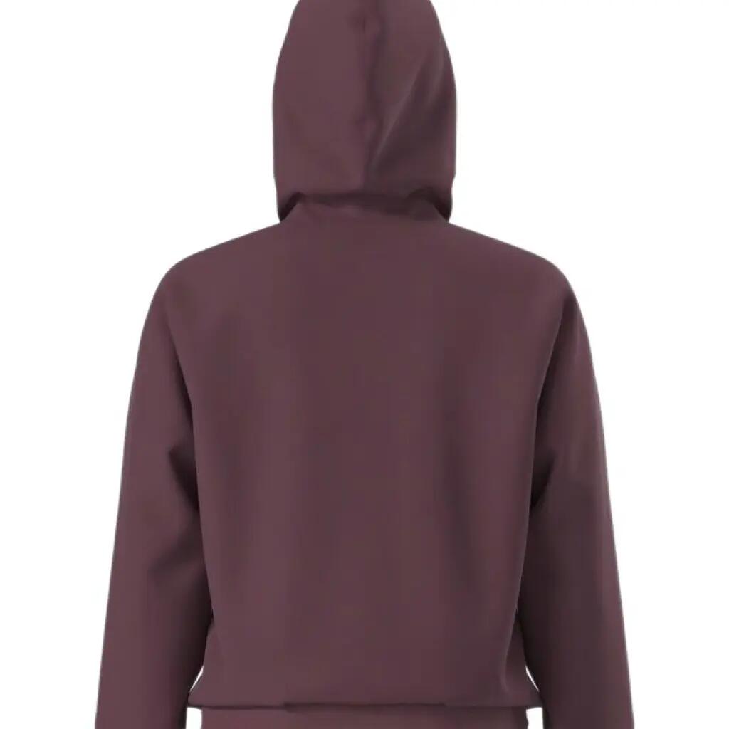 Sweat-shirt The North Face Modèle W Evo Sd Reg Hoodie Couleur Bordeaux 3/5