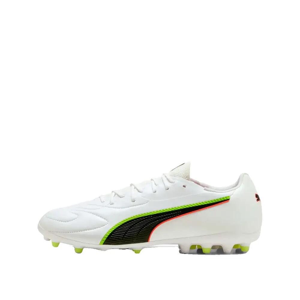 PUMA picture