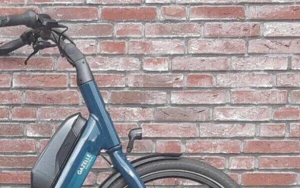 Gazelle Easyflow C7 500Wh, Shimano Nexus, groen 4/5