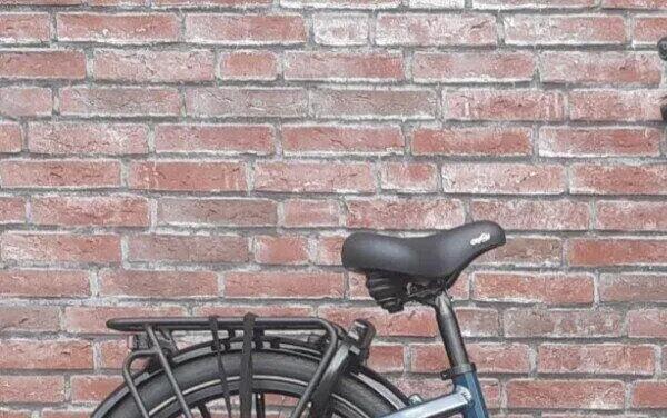 Gazelle Easyflow C7 500Wh, Shimano Nexus, groen 2/5