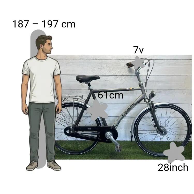 Gebraucht Gazelle Zeta 2/4