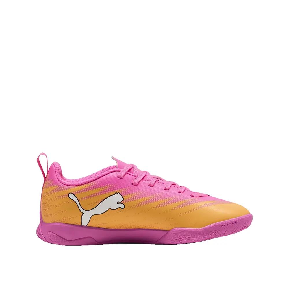 PUMA picture