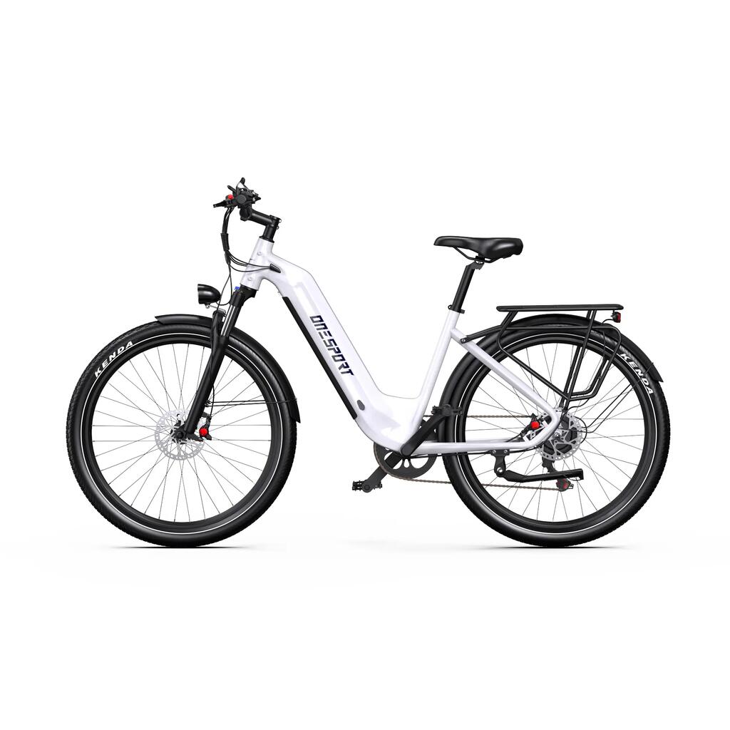 Adult Pedal-Assist Electric Bike WT05: 27.5x2.25" Tire