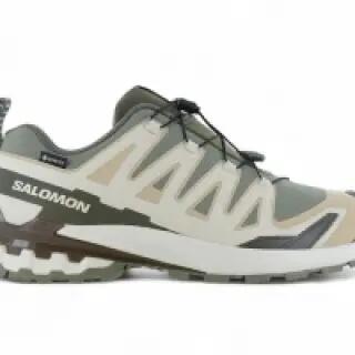 SALOMON picture