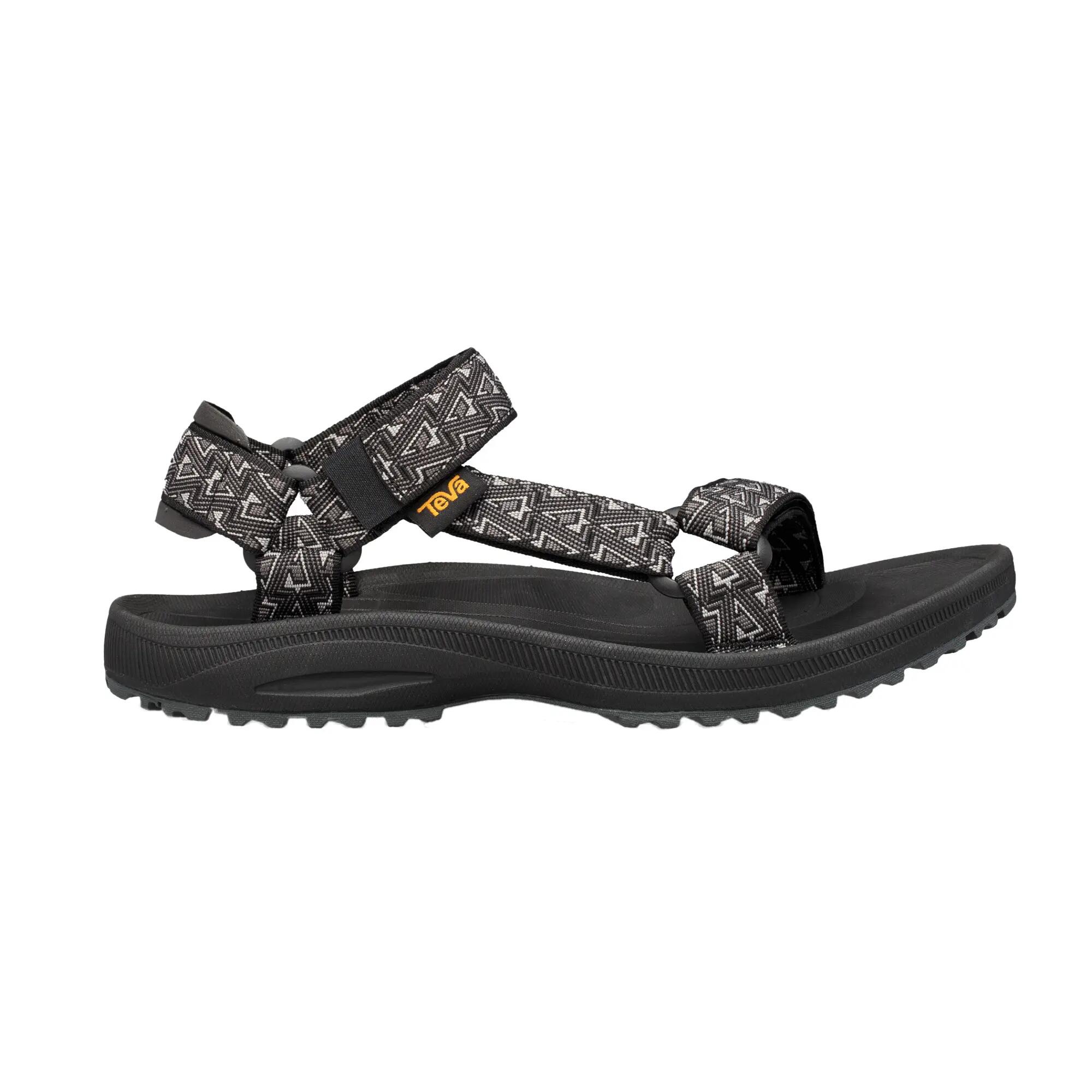 TEVA picture